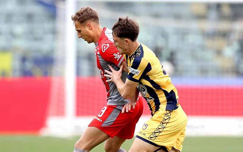 Nhận định, Soi kèo Juve Stabia vs Cremonese 1h30 ngày 22/5: Bất phân thắng bại  - Ảnh 1