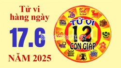 Tử vi hôm nay, xem tử vi 12 con giáp hôm nay ngày 17/6/2025: Tuổi Tỵ kinh doanh lợi nhuận cao